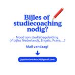 Bijlessen Nederlands en studiecoaching in Gent, Cours particulier, Cours de langue