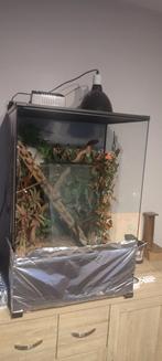 Vivarium 1.20 sur 80 a donné 0495177420 Aywaille, Dieren en Toebehoren, Ophalen