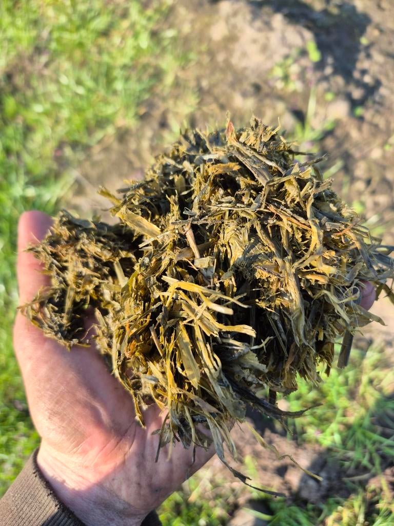 Graskuil 2025 5 de snede, Dieren en Toebehoren, Dierenvoeding, Ophalen