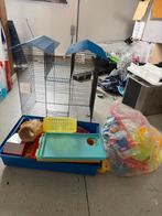Hamsterkooi met alle toebehoren, Ophalen, Kooi, Gebruikt, 60 tot 90 cm