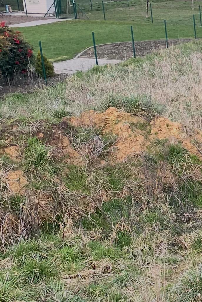 Gratis zavelgrond, Dieren en Toebehoren