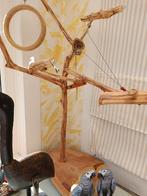 Vogel zit voor parkieten  is wat  klein voor roodstaart, Dieren en Toebehoren, Ophalen of Verzenden