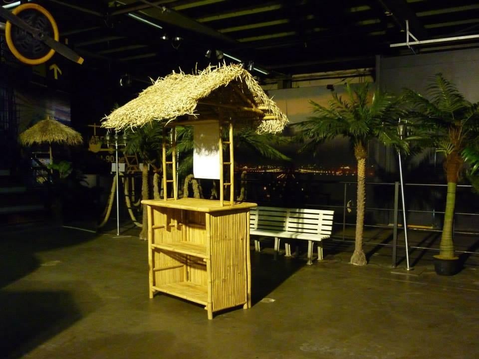 Tiki bar, Maison & Meubles, Dénudé, Utilisé, Enlèvement