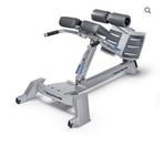 Nautilus Roman Chair/Hyperextension, Sport en Fitness, Ophalen