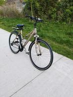 Diamond Cross, Enlèvement