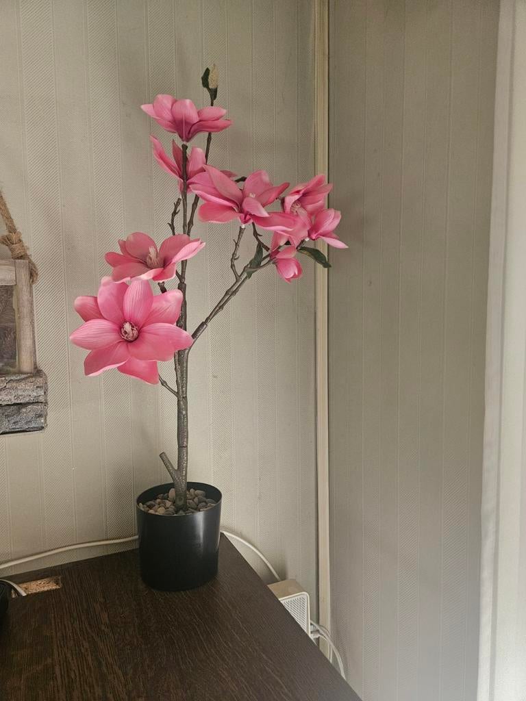 Belle fleur d'art, Enlèvement