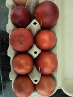 Marans en olijflegger eieren, Dieren en Toebehoren, Ophalen, Broedmachine