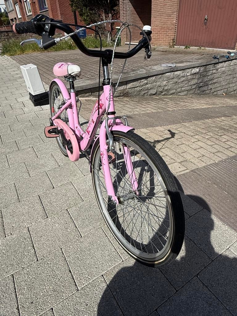 Roze meisjesfiets 22 inch – Wings Amazone – 6 versnellingen, Fietsen en Brommers, Ophalen, 22 inch, Velgrem, Versnellingen