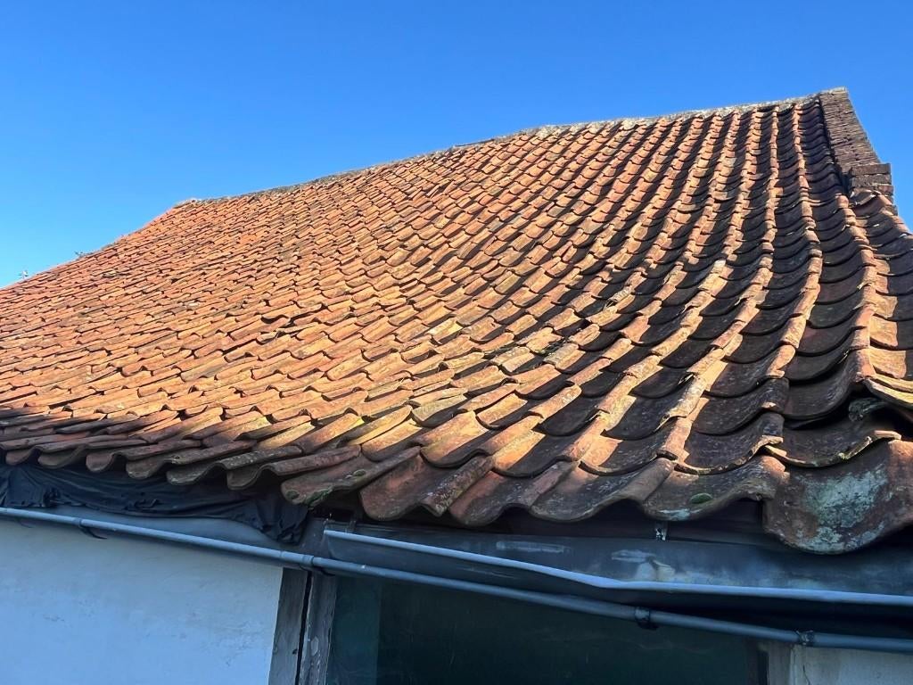 Boomse pannen - 2400 stuks, Ophalen, Gebruikt, Steen of Klei, 15 m² of meer