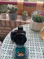 Leica V Lux 4, Enlèvement ou Envoi