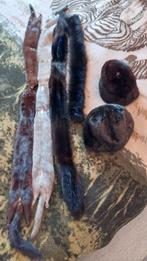 vison, Vêtements | Femmes, Enlèvement ou Envoi