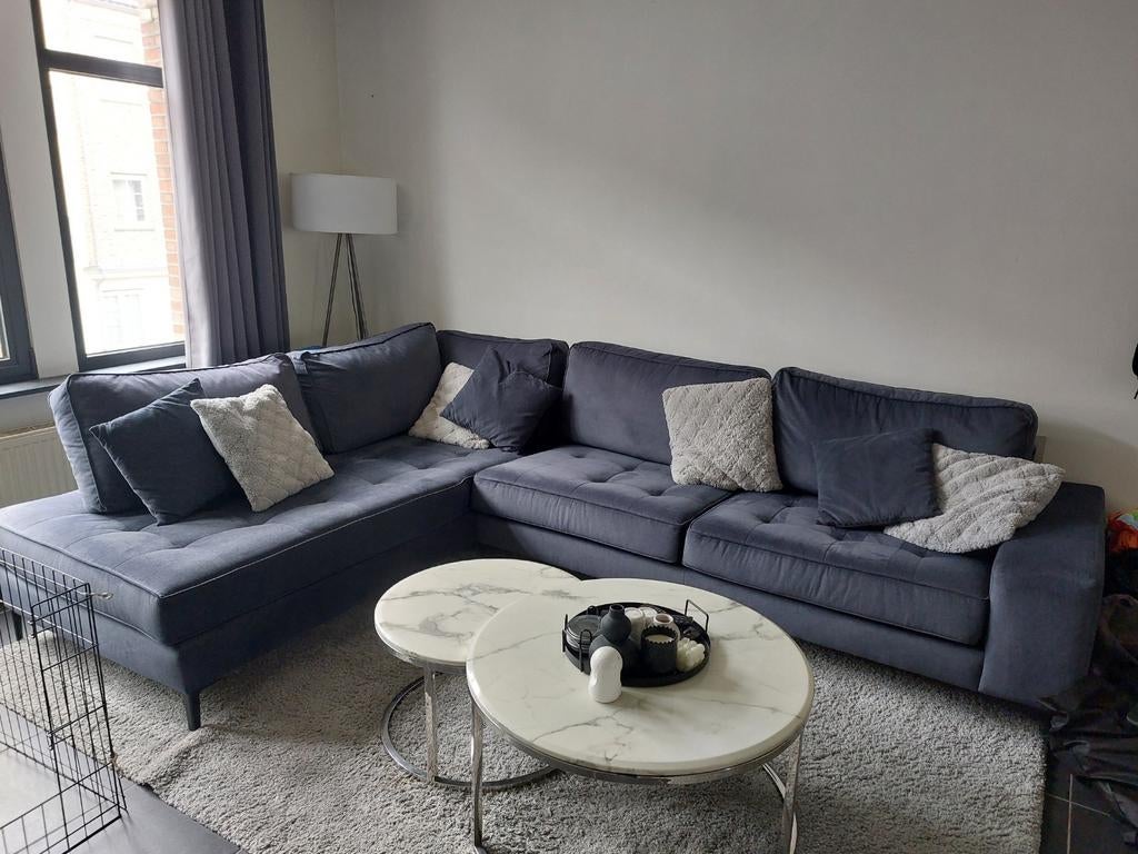 Antraciet hoekzetel, Ophalen