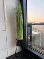 Kunstplant, Enlèvement ou Envoi, Utilisé, Intérieur