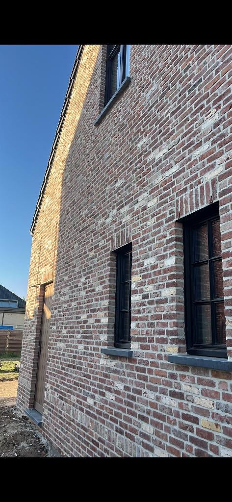 Oude beerste gevelsteen, Doe-het-zelf en Bouw, Ophalen, Gebruikt, Bakstenen