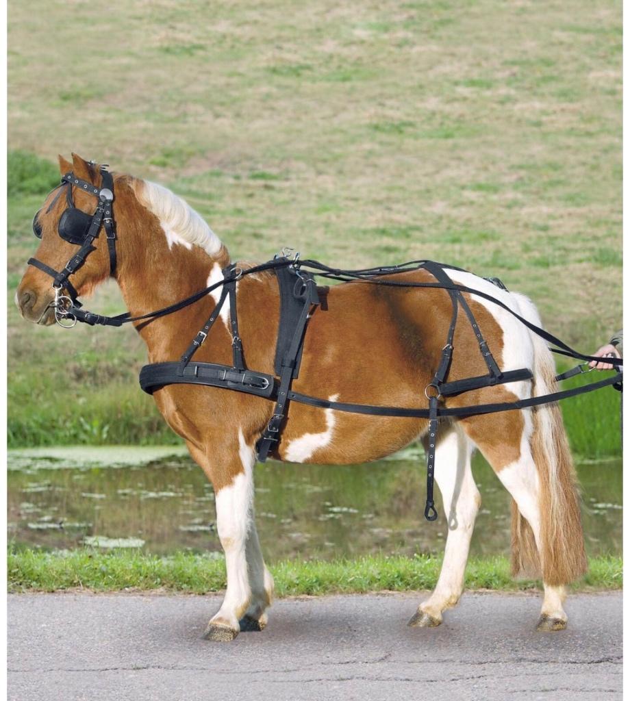 Tuig voor shetland pony, Dieren en Toebehoren, Ophalen of Verzenden, Nieuw, Recreatie