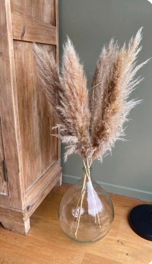 Dame Jeanne gistfles, Ophalen