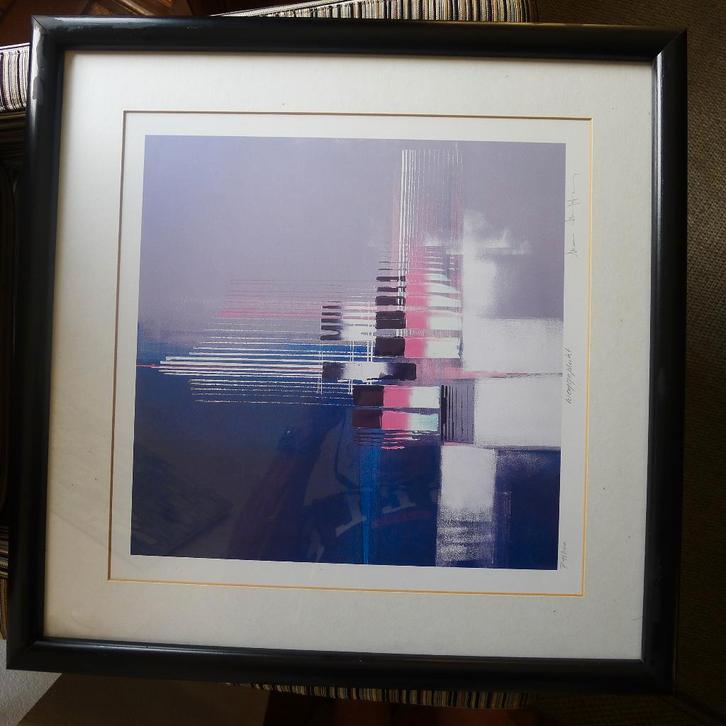 Luc DRAPPIER zeefdruk, Antiek en Kunst, Kunst | Litho's en Zeefdrukken, Ophalen of Verzenden