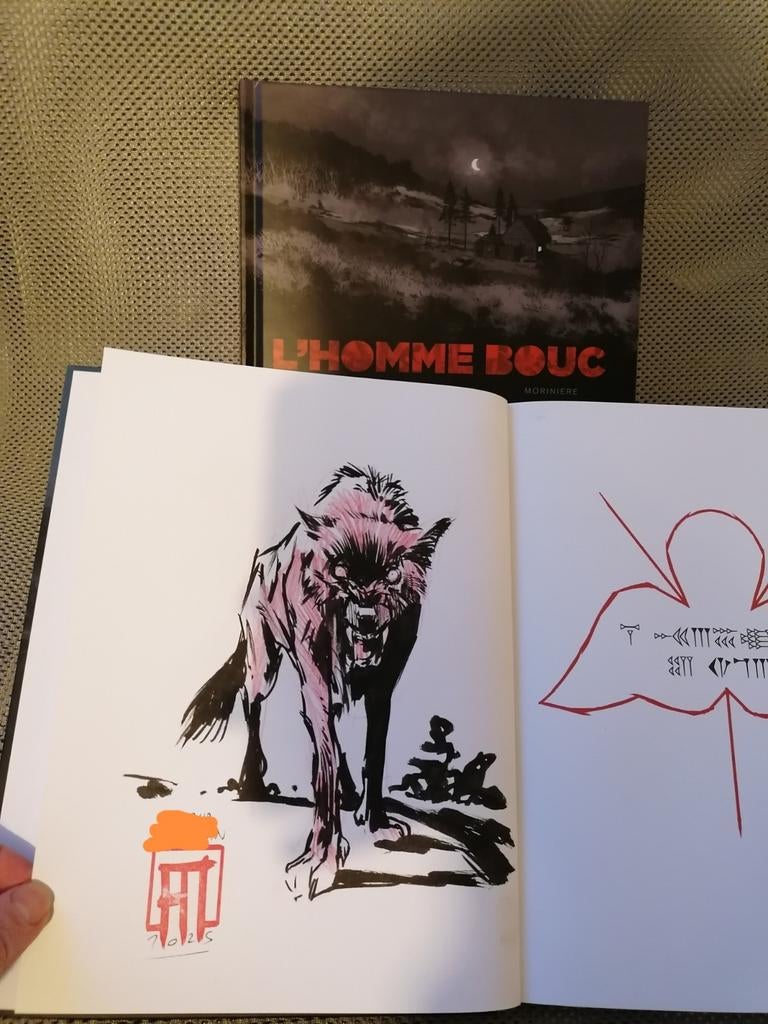 Dédicace Aurélien Morinière 2 bd, Enlèvement ou Envoi