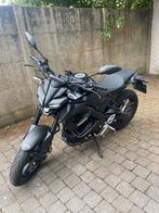 Yamaha MT 125, Particulier, 11 kW of minder, Minimaal motorrijbewijs A1, Naked bike