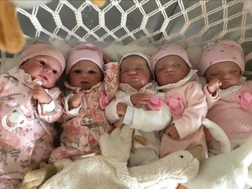 Reborn baby poppen beschikbaar voor biedingen
