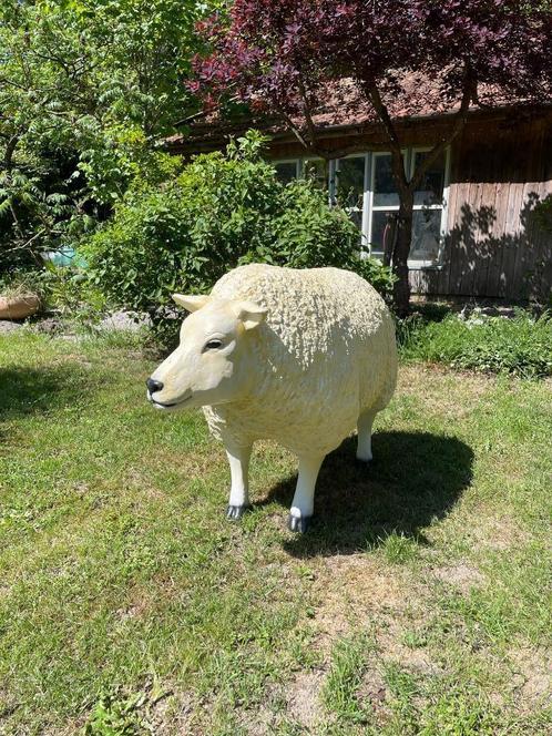 (Tuin)Beeld texel schaap, eye catcher tuin, boerderij, 75 cm, Tuin en Terras, Tuinbeelden, Nieuw, Dierenbeeld, Kunststof, Ophalen
