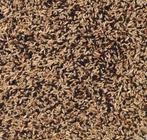 Kanarie Classiek 5kg, Dieren en Toebehoren, Dierenvoeding, Ophalen, Vogel