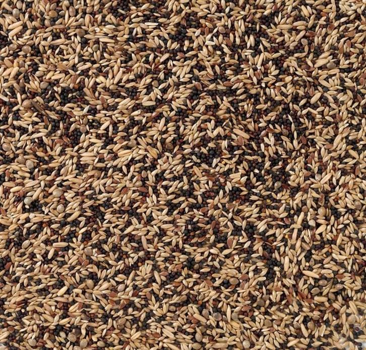 Kanarie Classiek 5kg, Dieren en Toebehoren, Dierenvoeding, Vogel, Ophalen