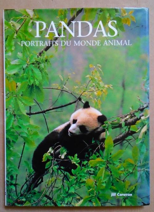 Pandas, Portraits du monde animal - 1996 - Jill Caravan, Boeken, Dieren en Huisdieren, Zo goed als nieuw, Overige diersoorten
