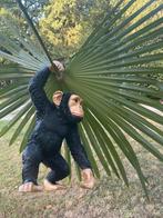 Image bébé singe, jardin, chambre de bébé, animaux 42 cm, Enlèvement, Neuf, Synthétique, Animal