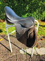 Jorge Canaves 18' Haflinger, Dieren en Toebehoren, Ophalen, Gebruikt, Recreatie