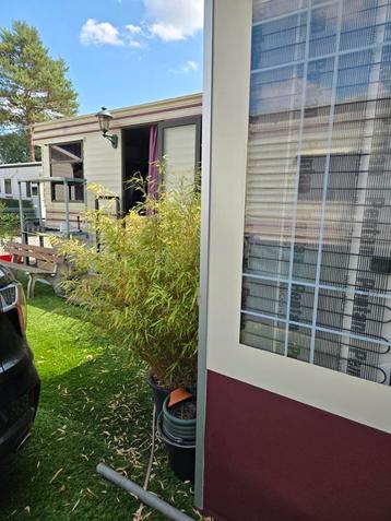 Mobil-home meublé à vendre, Particulier