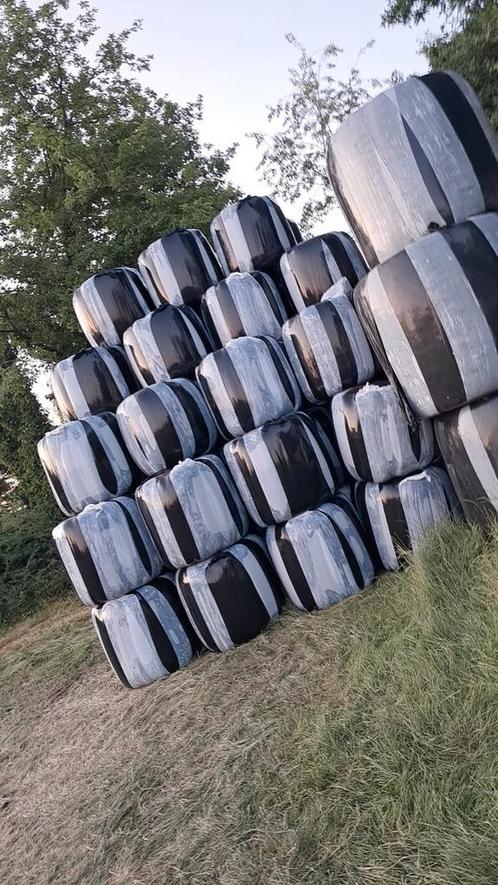 Hooi voordroog . Minibalen, Zakelijke goederen, Landbouw | Veevoer, Ophalen
