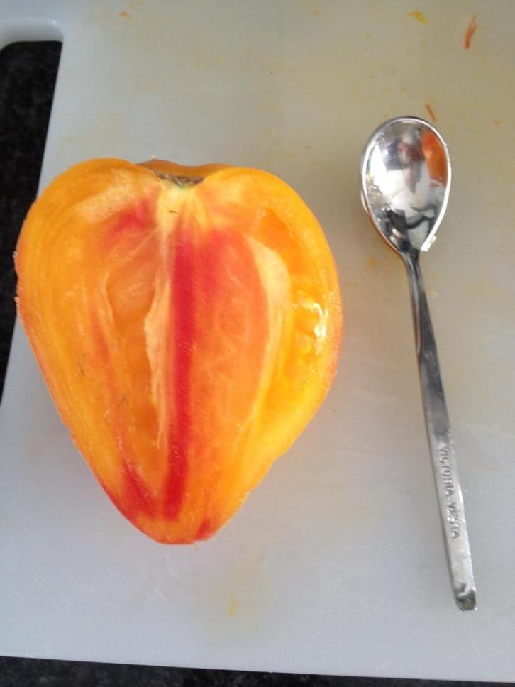 5 zaden tomaat Orange Russian - biologisch geteeld, Tuin en Terras, Bloembollen en Zaden, Zaad, Voorjaar, Verzenden