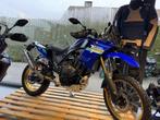 Yamaha - Tenere 700 Extreme, Motoren, 2 cilinders, Bedrijf, Toermotor, Meer dan 35 kW