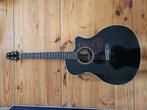 Walden gitaar, Muziek en Instrumenten, Ophalen, Zo goed als nieuw