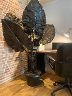 Alocacia(olifantsoor) kunstdesignplant, Ophalen, Zo goed als nieuw