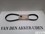 Mercedes Benz V-Riem A6019970592, Verzenden, Nieuw