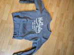 Sweater, Ophalen, Maat 52/54 (L), Grijs, Gedragen