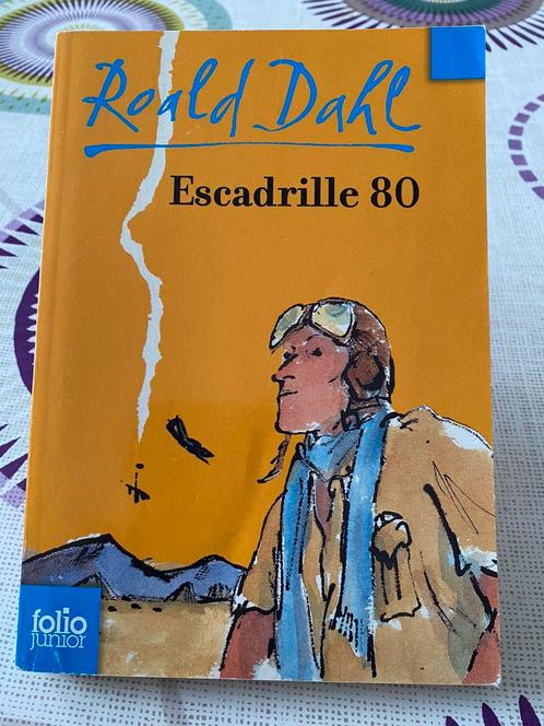 Escadrille 80 Livre de Roald Dahl / Folio Junior, Livres, Livres pour enfants | Jeunesse | 10 à 12 ans