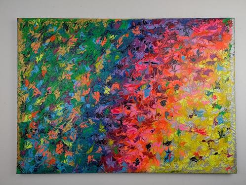 Rainbow Warrior, Antiek en Kunst, Kunst | Schilderijen | Abstract, Ophalen of Verzenden