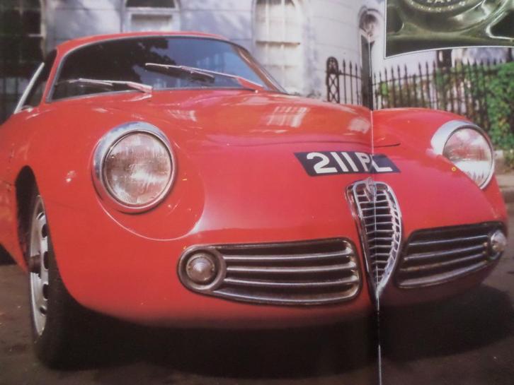 Alfa Romeo 75 8C 2900 P2 P3 Giulia enz Vintage Boek, Boeken, Auto's | Folders en Tijdschriften, Alfa Romeo, Ophalen of Verzenden