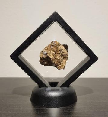 La météorite Al Haggounia 001 exposée
