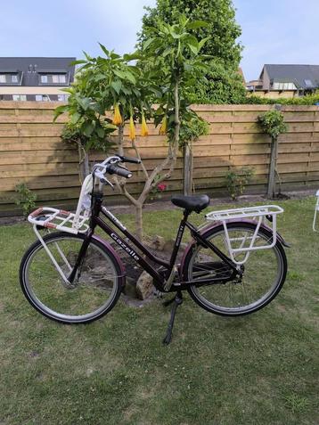 Gazelle HeavyDutyNl beschikbaar voor biedingen