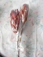 Les derniers lots de fleurs séchées et de mat.décoratifs, Enlèvement, Comme neuf, Matériel