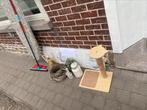 Gratis spullen, Ophalen