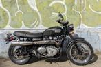 Triumph Scrambler 900 (CT OK), Motos, 865 cm³, Plus de 35 kW, 2 cylindres, Particulier