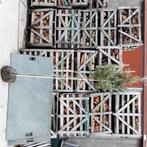 Quercus ilex bomen, Enlèvement