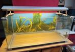 Aquarium 1 meter met overkoepelende lamp, Dieren en Toebehoren