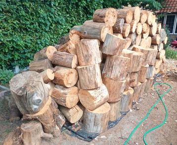 Droog brandhout 5 M3 eiken populier beetje spar !!! beschikbaar voor biedingen