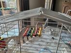 Vogelkooi, Dieren en Toebehoren, Ophalen, Zo goed als nieuw, Vogelkooi